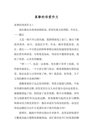 真挚的母爱作文汇编.docx