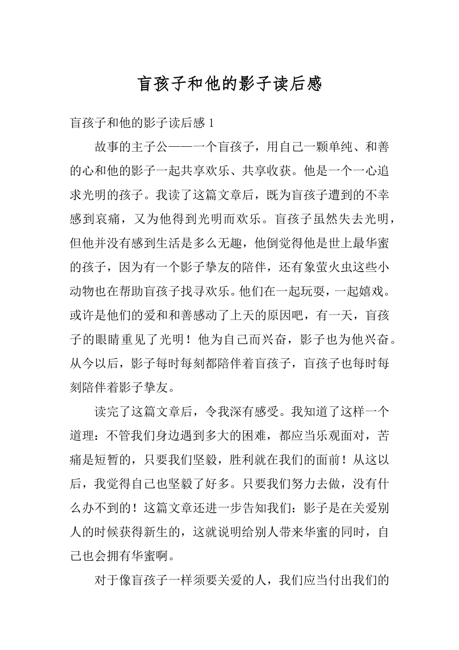 盲孩子和他的影子读后感例文.docx_第1页