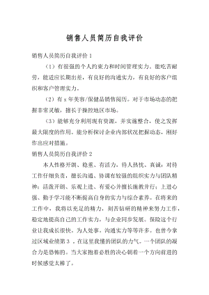 销售人员简历自我评价精选.docx