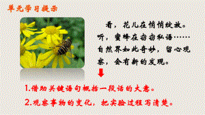 花钟（第一课时）ppt课件.ppt