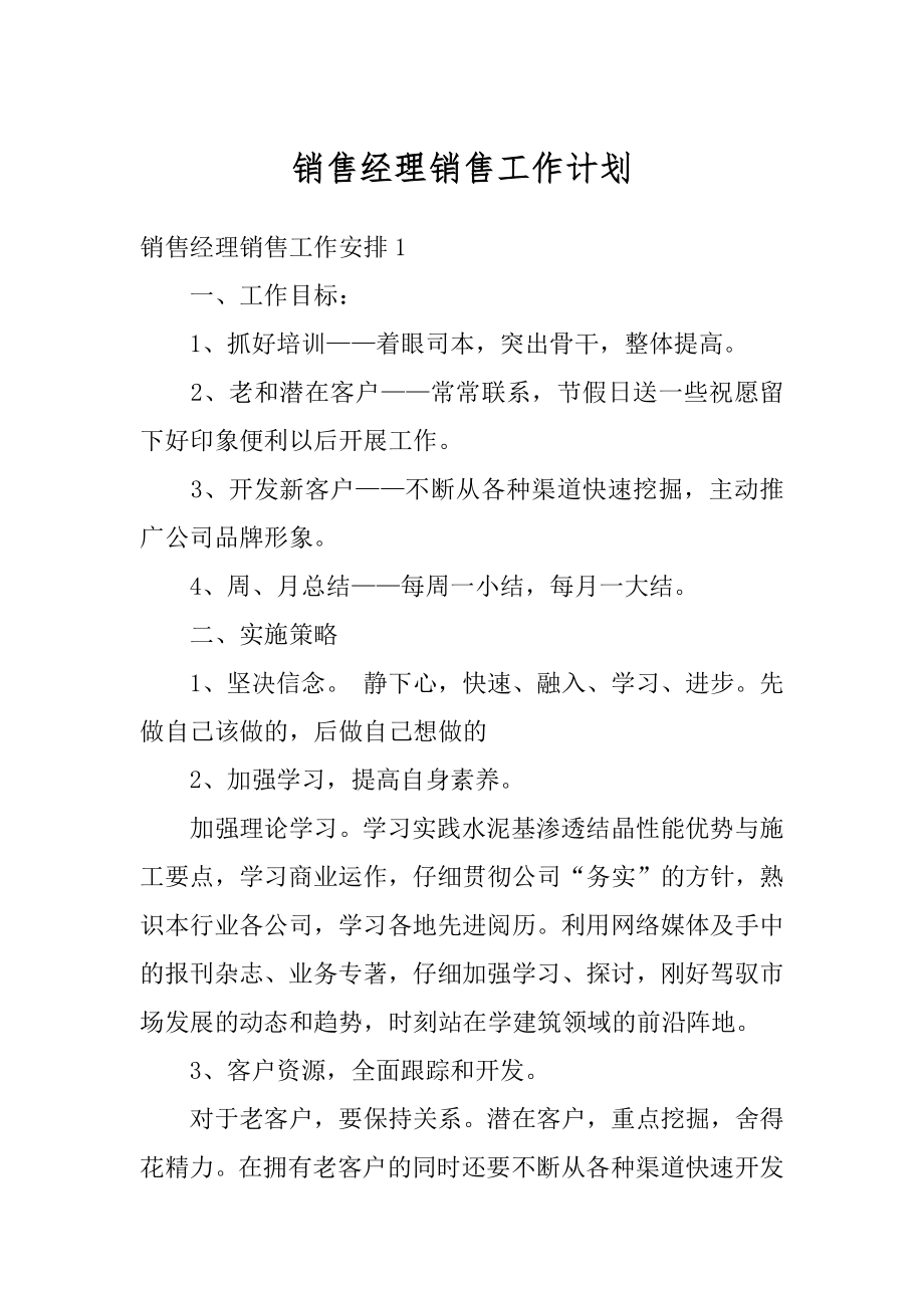 销售经理销售工作计划优质.docx_第1页