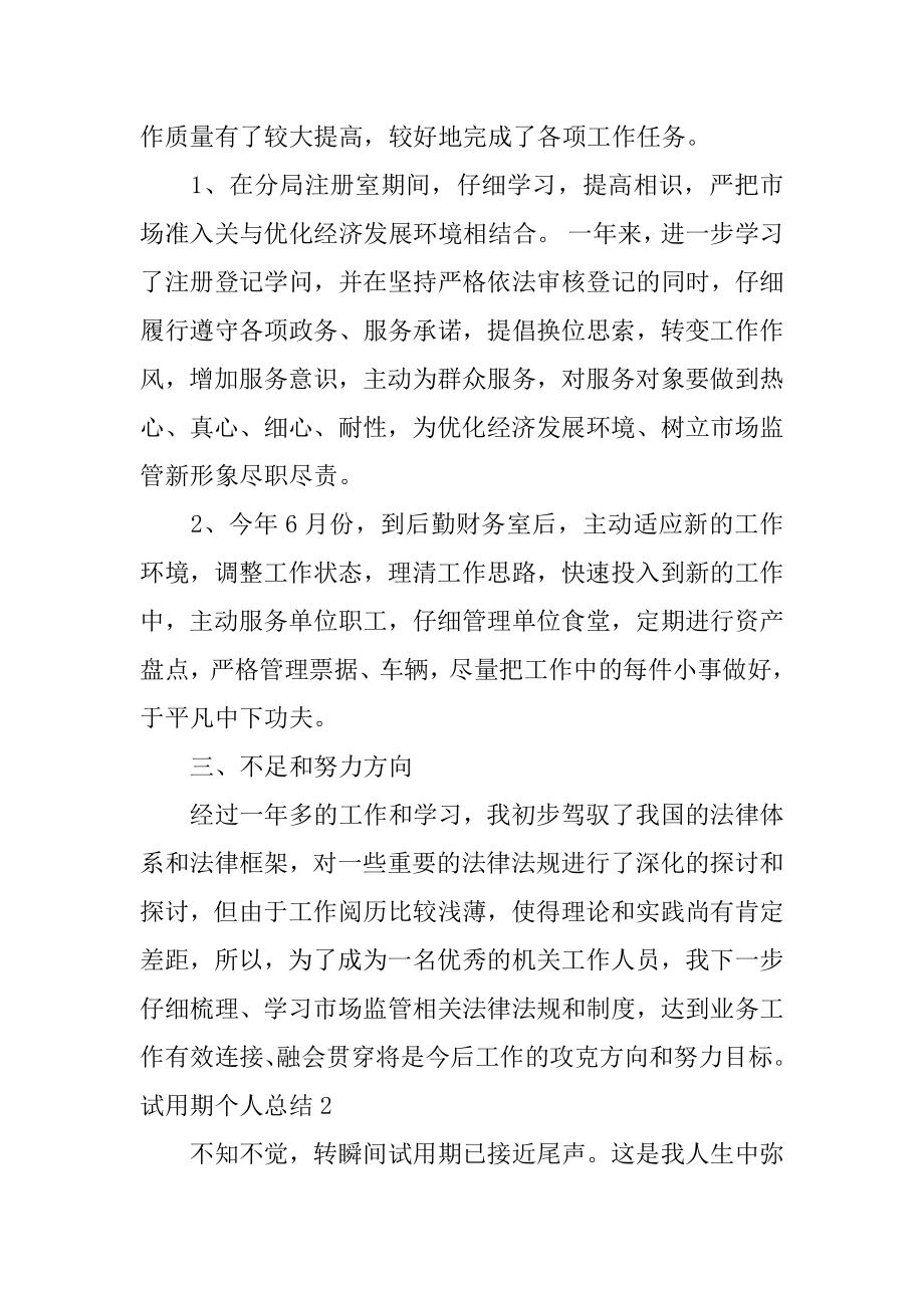 试用期个人总结精编.docx_第2页