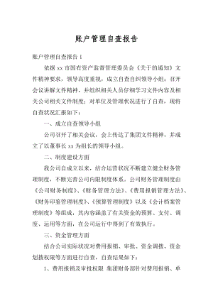 账户管理自查报告范本.docx