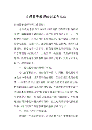 省级骨干教师培训工作总结例文.docx