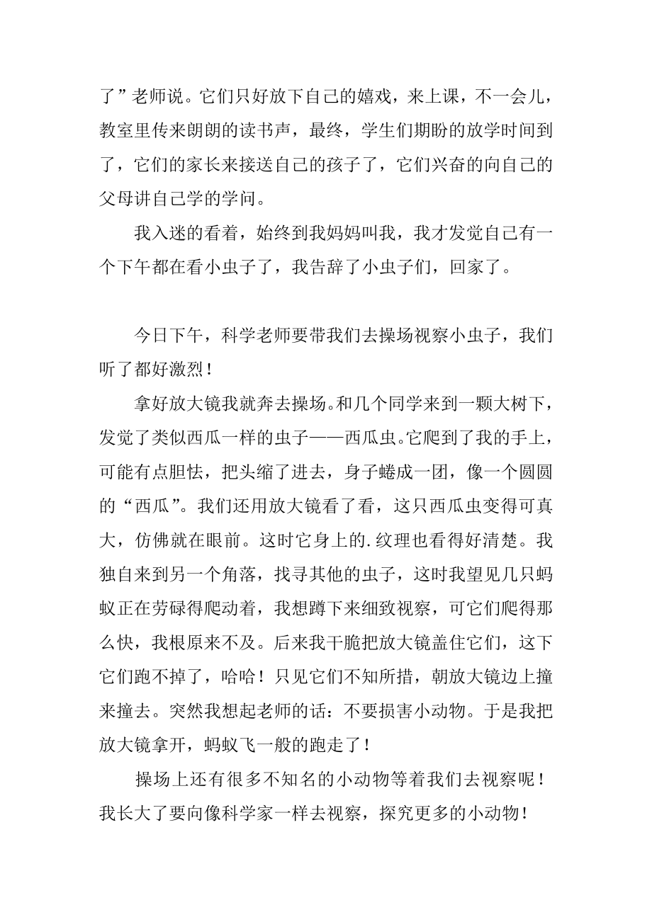 观察小虫子的作文300字汇编.docx_第2页