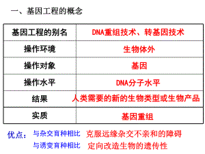 一轮-基因工程ppt课件.ppt