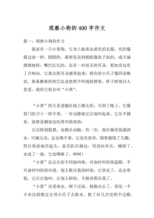 观察小狗的400字作文例文.docx