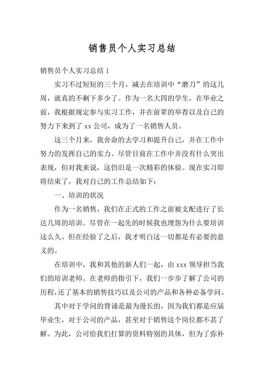 销售员个人实习总结例文.docx_第1页