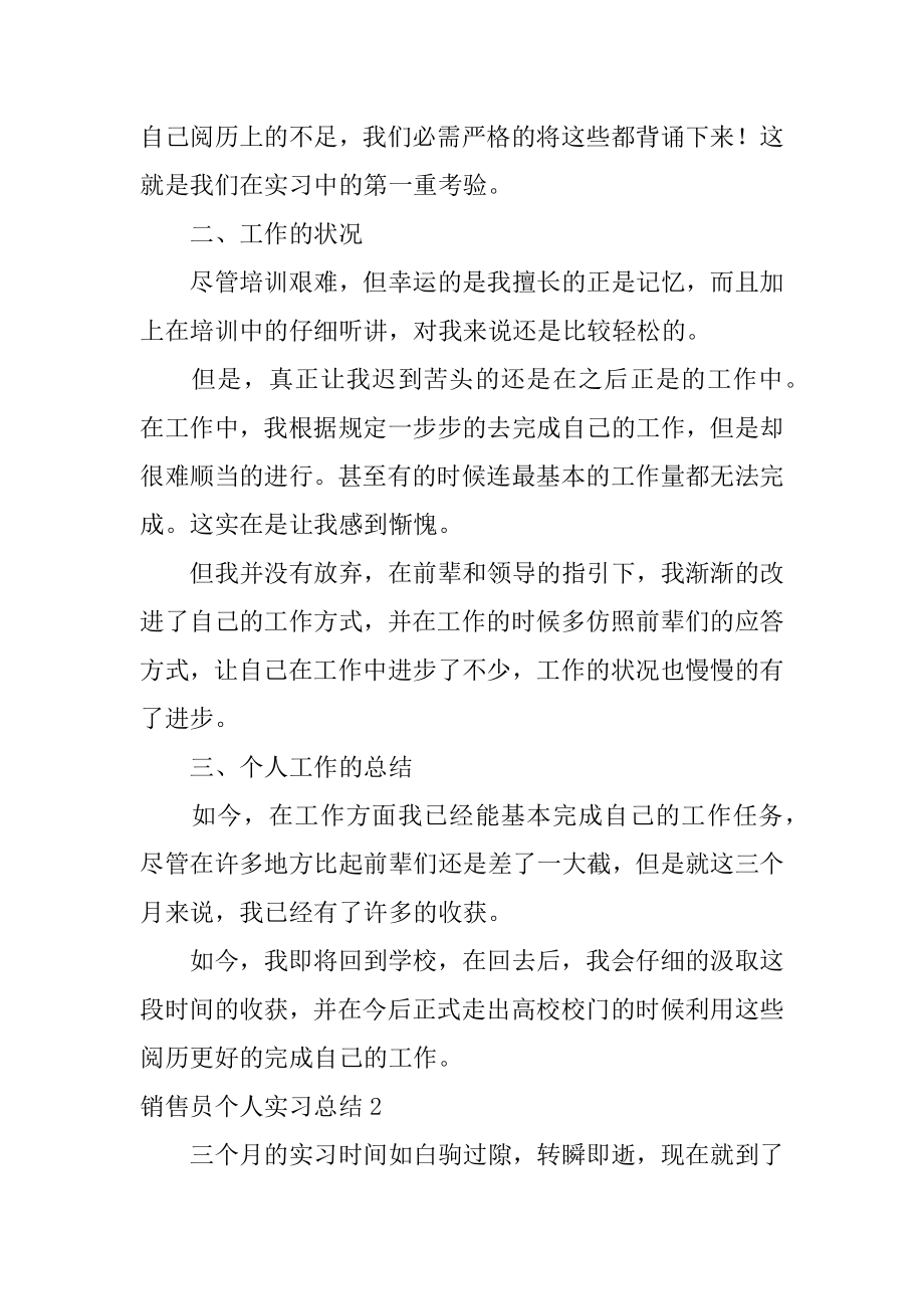 销售员个人实习总结例文.docx_第2页