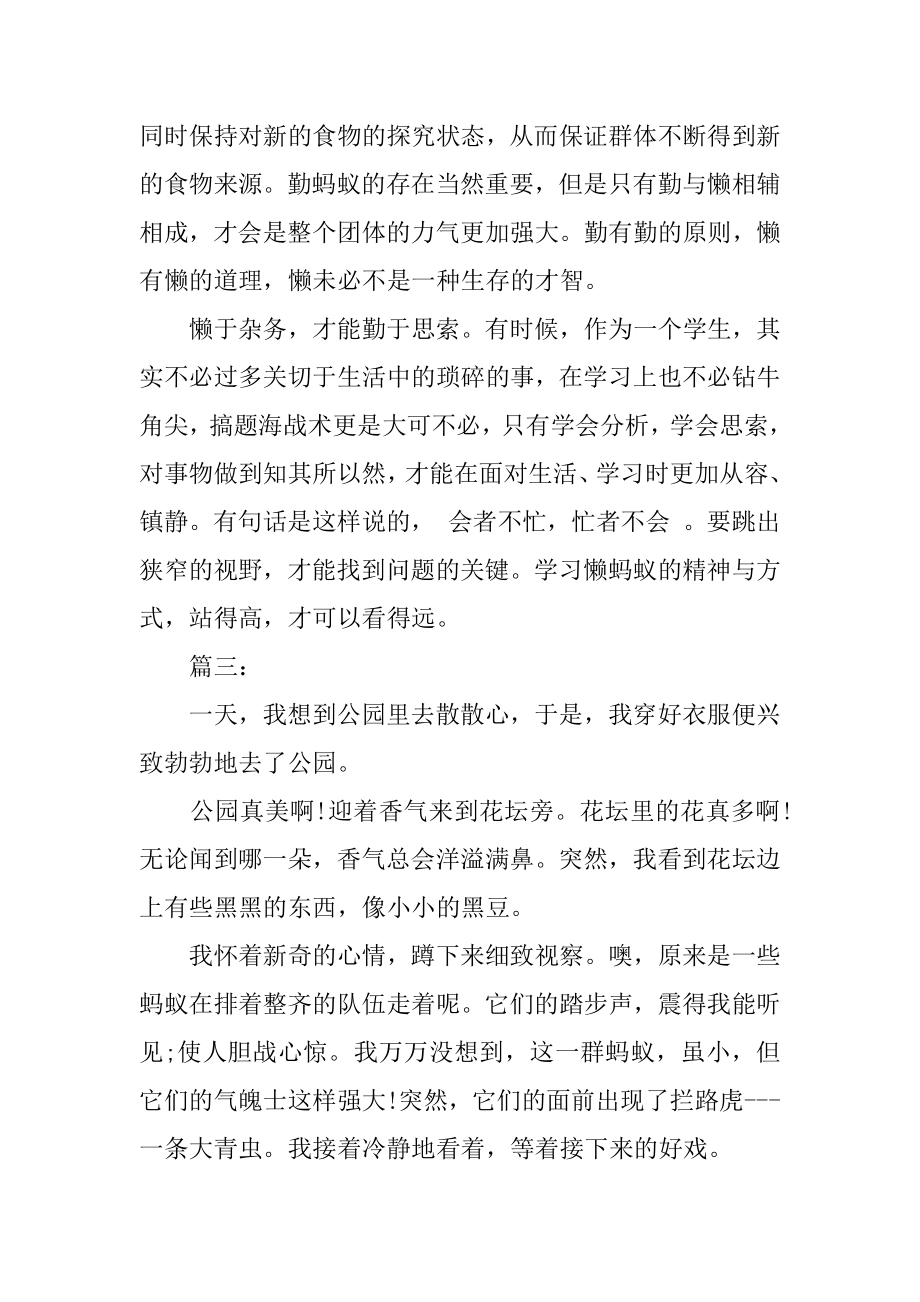 蚂蚁给人类的启示精选.docx_第2页