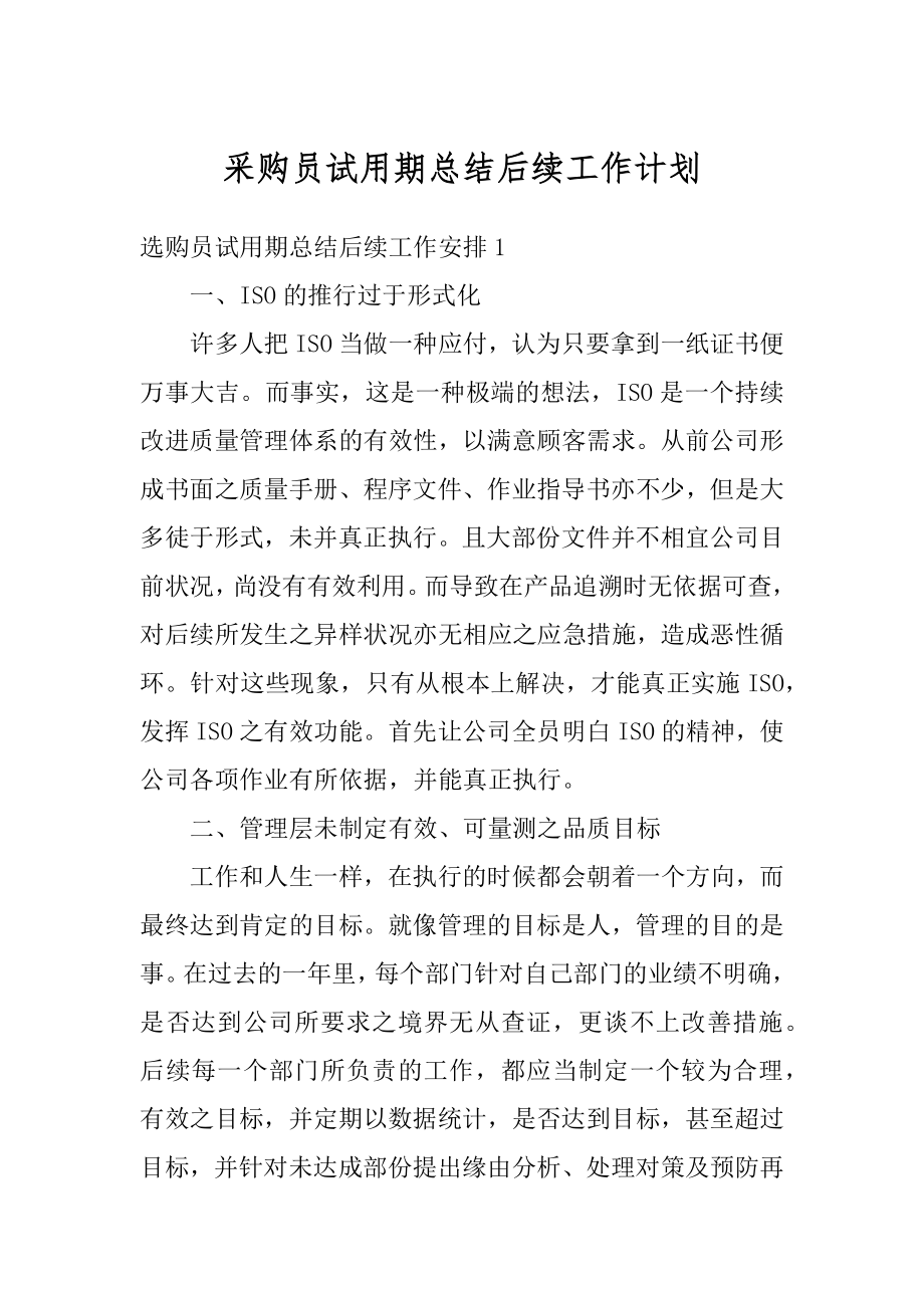 采购员试用期总结后续工作计划优质.docx_第1页