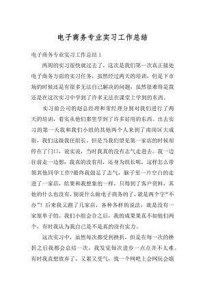 电子商务专业实习工作总结精编.docx