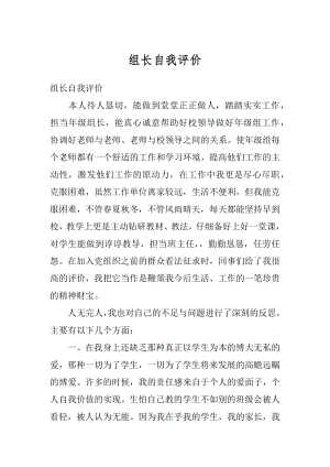 组长自我评价例文.docx