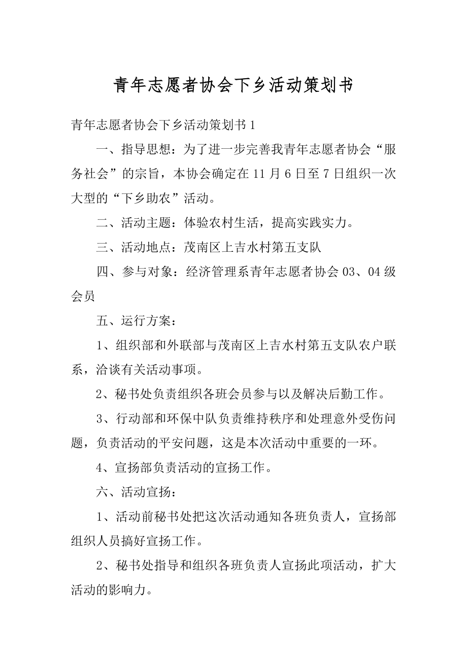 青年志愿者协会下乡活动策划书范文.docx_第1页