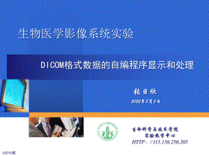 DICOM格式数据的自编程序显示和处理实验ppt课件.ppt