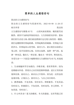 简单的人生感悟好句优质.docx