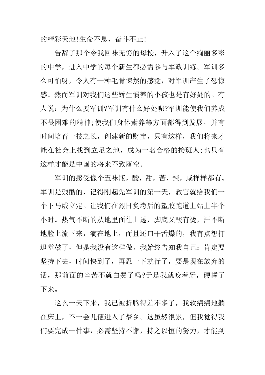 汇演军训心得体会汇编.docx_第2页