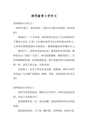 清明踏青小学作文精编.docx