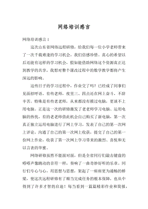 网络培训感言精编.docx