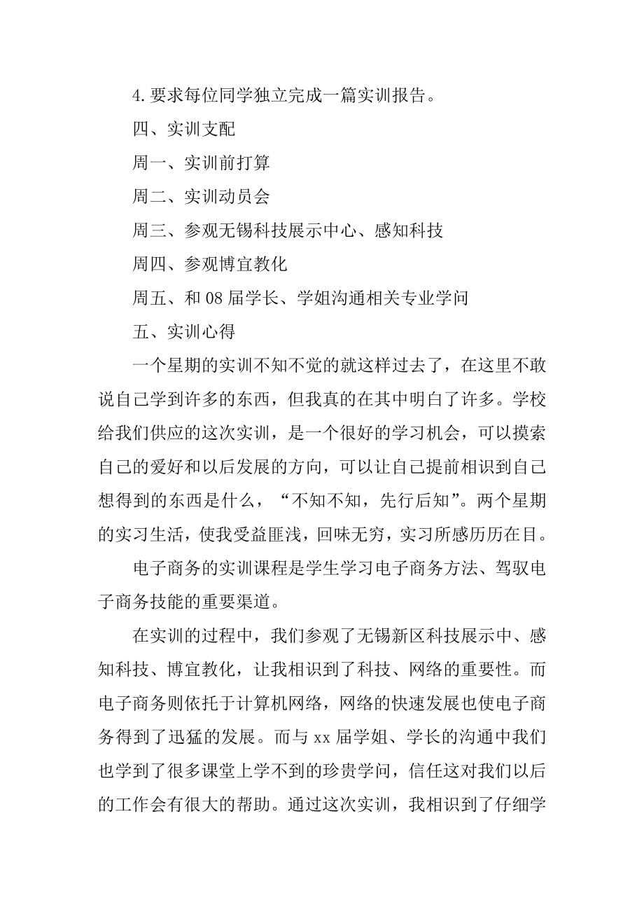 电子商务实习工作报告大学生范文.docx_第2页