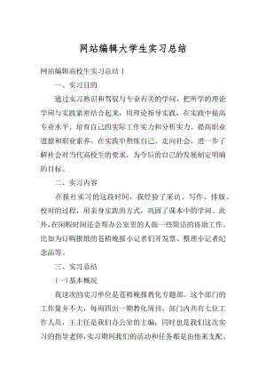 网站编辑大学生实习总结优质.docx