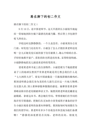 路在脚下的初二作文精编.docx