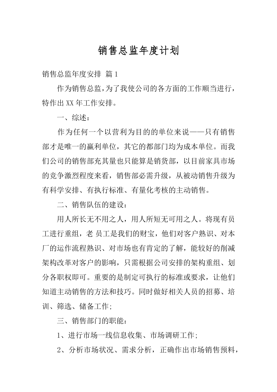 销售总监年度计划优质.docx_第1页