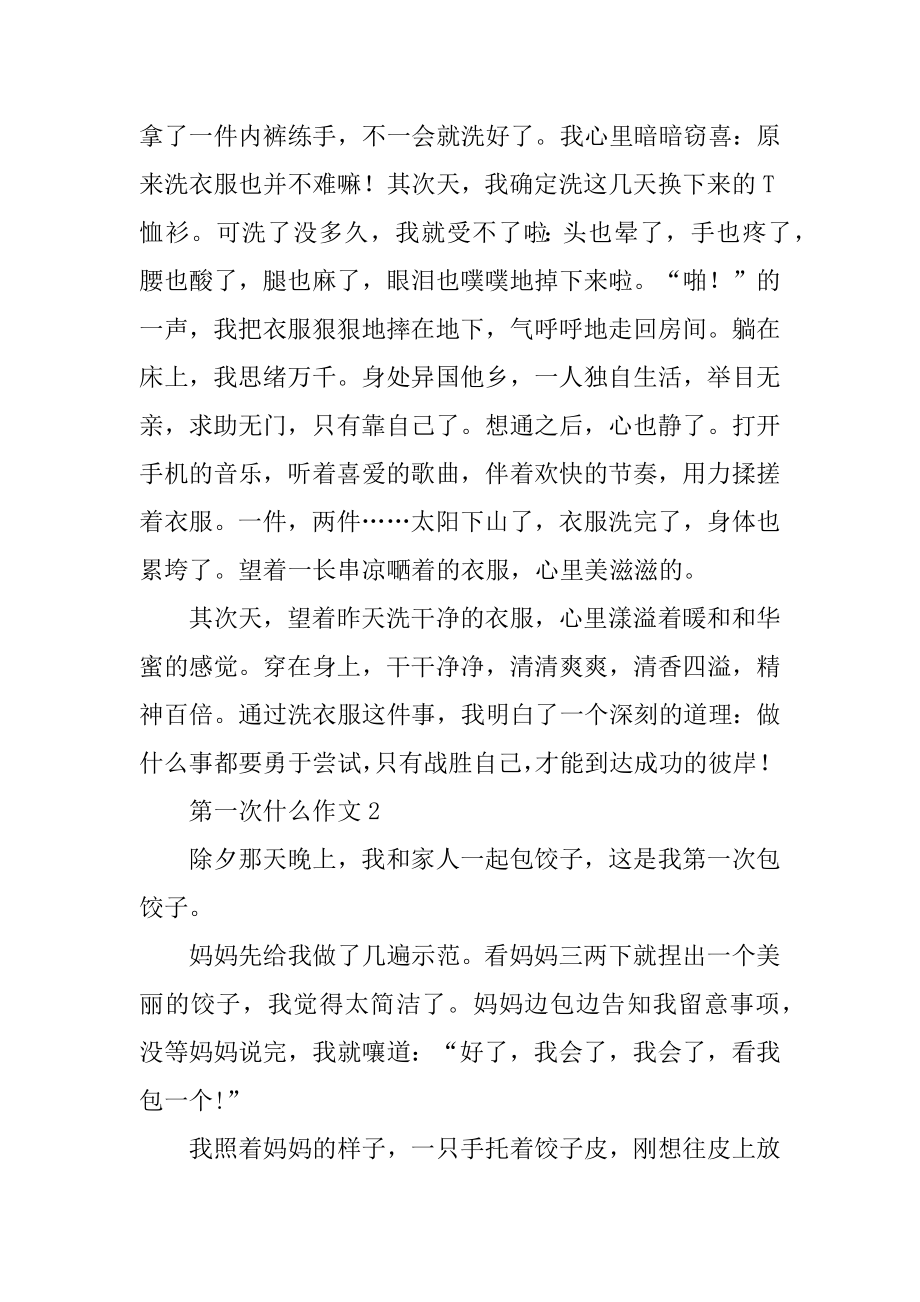 第一次什么作文精选.docx_第2页