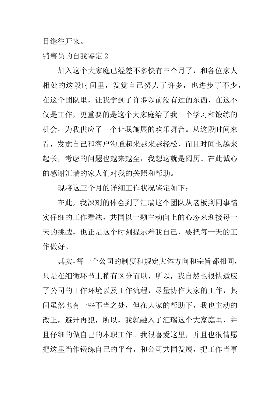 销售员的自我鉴定例文.docx_第2页