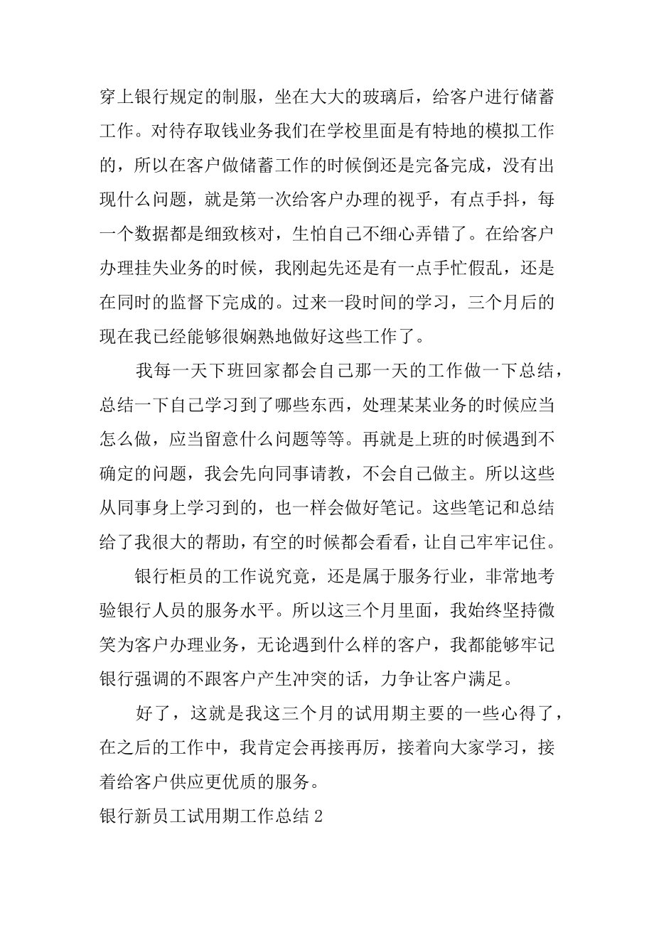 银行新员工试用期工作总结汇编.docx_第2页