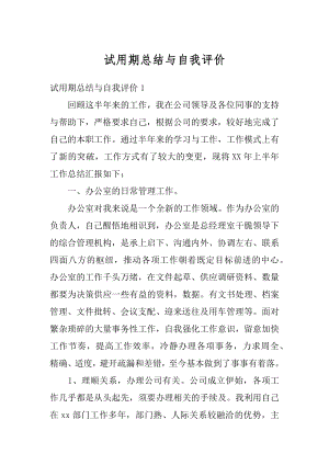 试用期总结与自我评价例文.docx