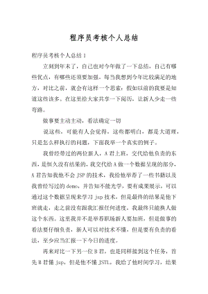 程序员考核个人总结精品.docx