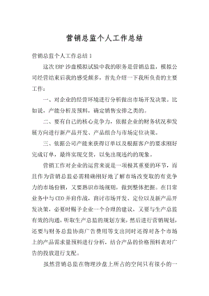 营销总监个人工作总结汇编.docx