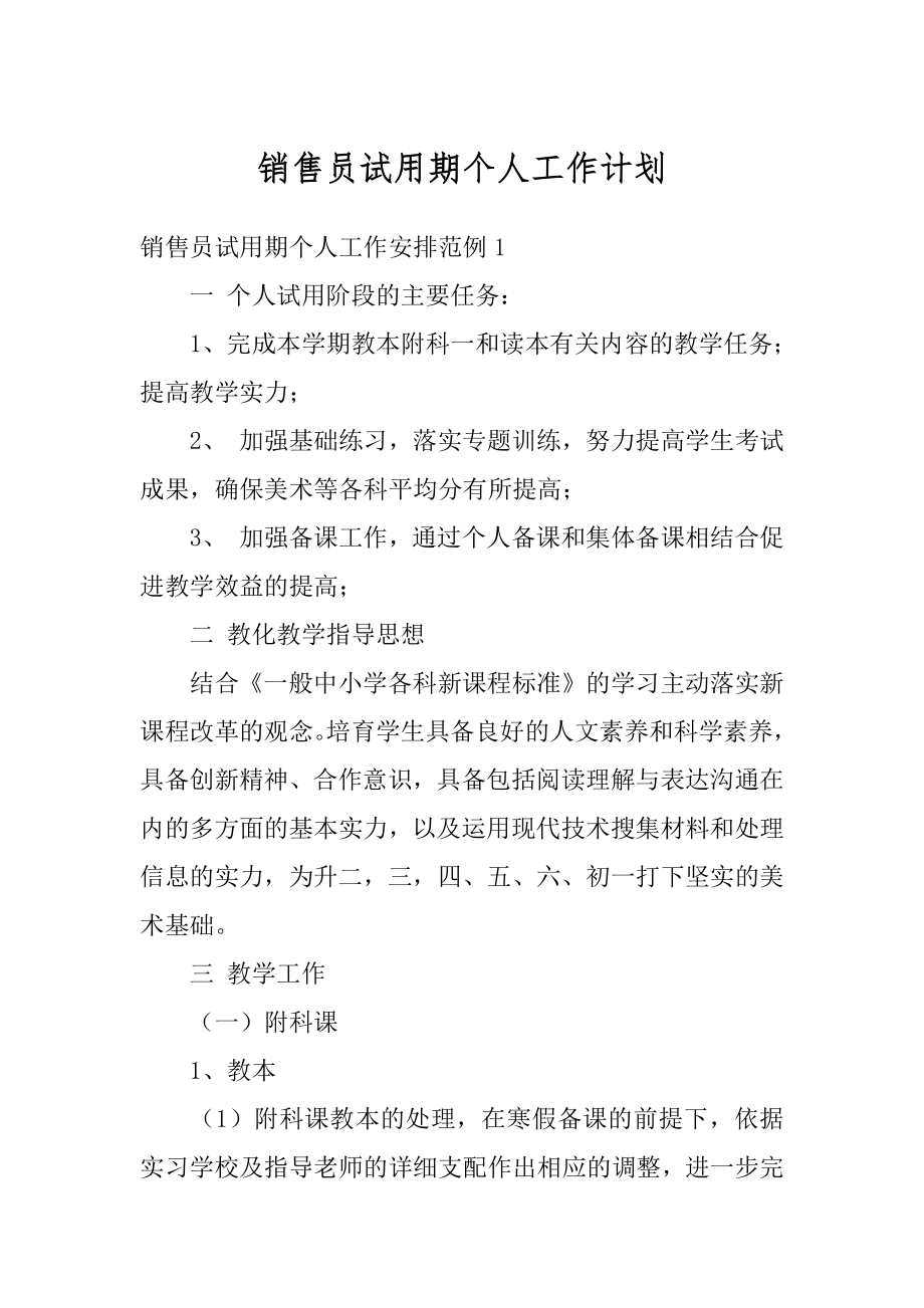 销售员试用期个人工作计划精编.docx_第1页