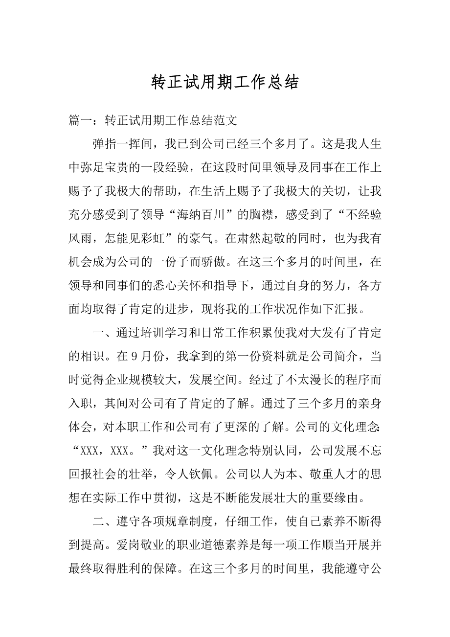 转正试用期工作总结汇总.docx_第1页