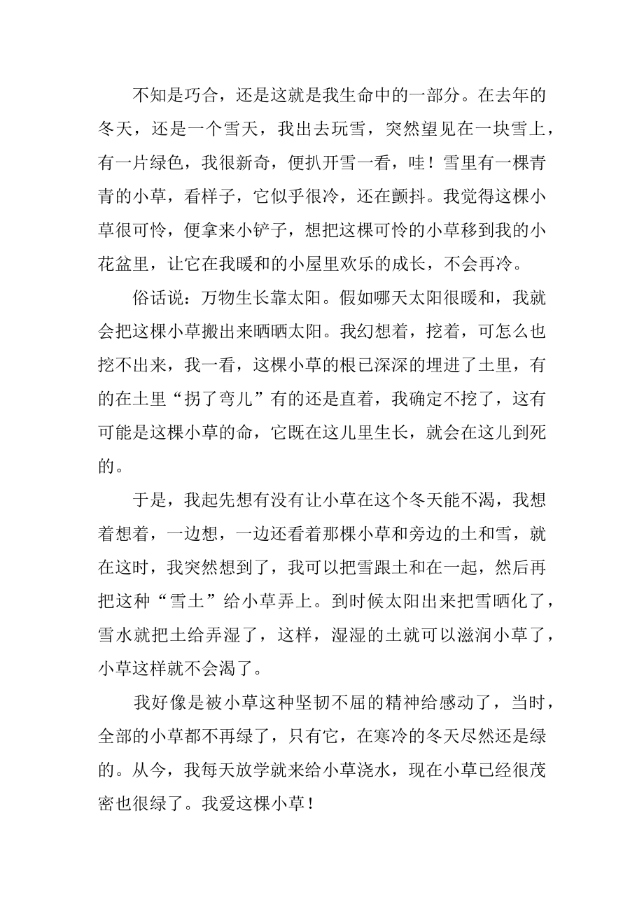 生命的力量优秀作文汇编.docx_第2页