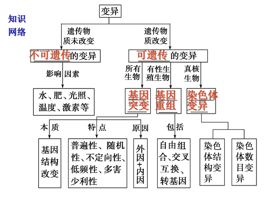 基因突变、染色体变异、基因重组ppt课件.ppt_第2页