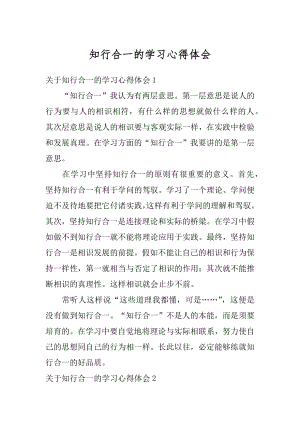 知行合一的学习心得体会优质.docx