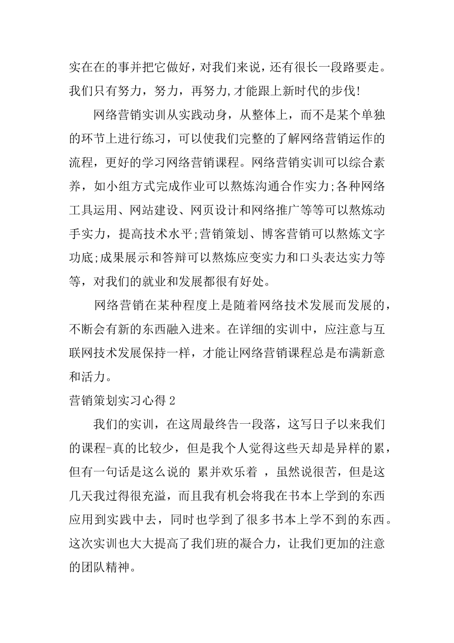 营销策划实习心得汇总.docx_第2页