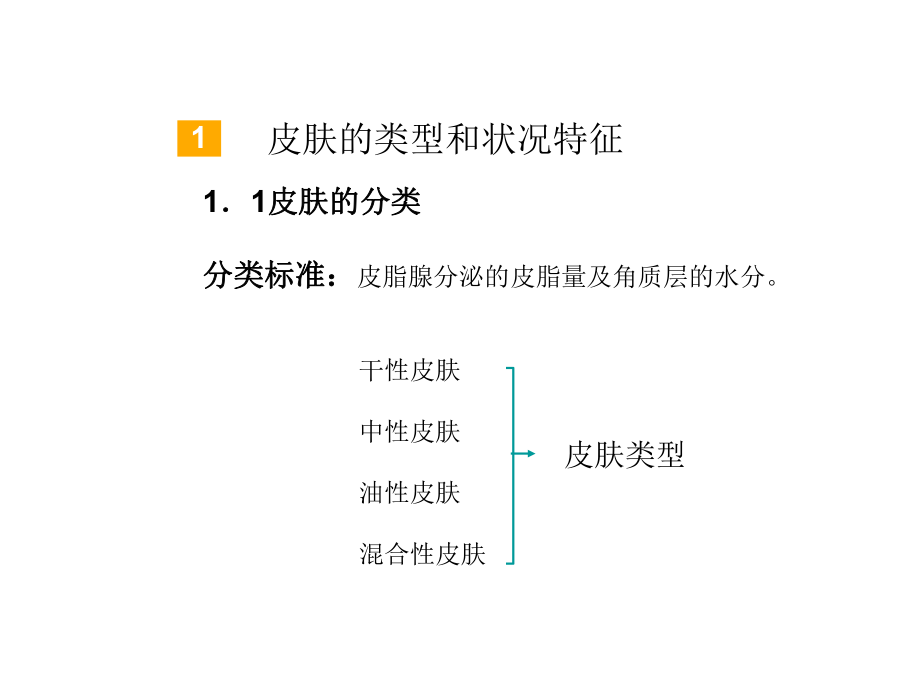 皮肤的类型及分析ppt课件.ppt_第2页