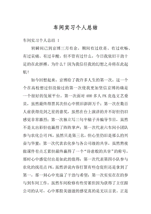 车间实习个人总结优质.docx