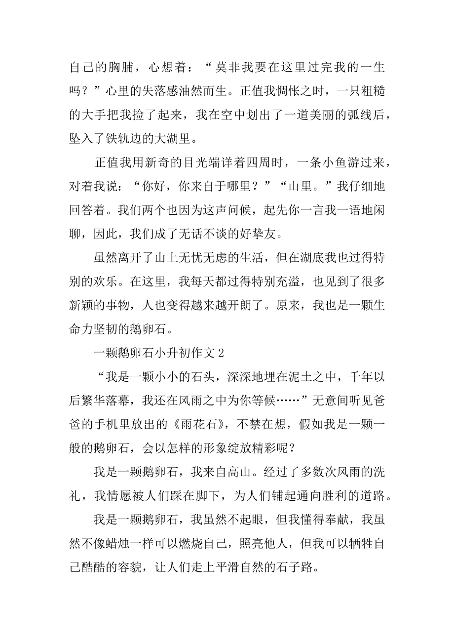 一颗鹅卵石小升初作文精编.docx_第2页