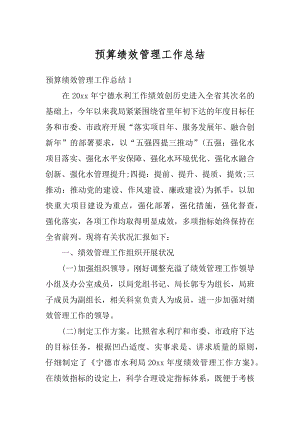 预算绩效管理工作总结精编.docx