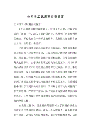 公司员工试用期自我鉴定例文.docx