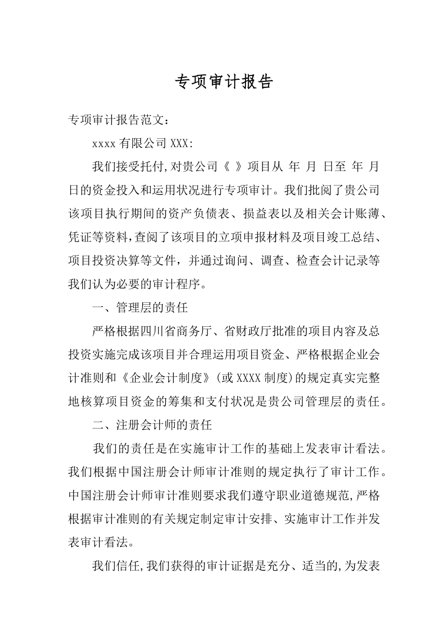 专项审计报告最新.docx_第1页