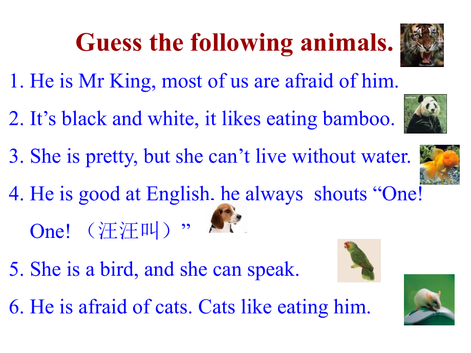 B7U8PetsReading.ppt_第2页