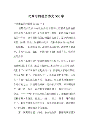 一次难忘的经历作文500字汇编.docx