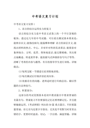 中考语文复习计划范文.docx