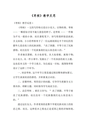 《枣核》教学反思范文.docx