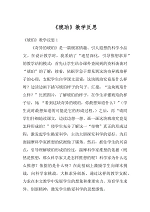 《琥珀》教学反思例文.docx